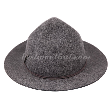 fedora wool hat