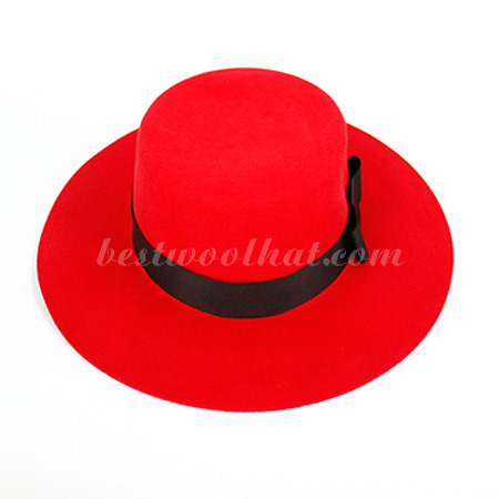 floppy wool felt hat