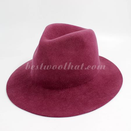 fedora hat