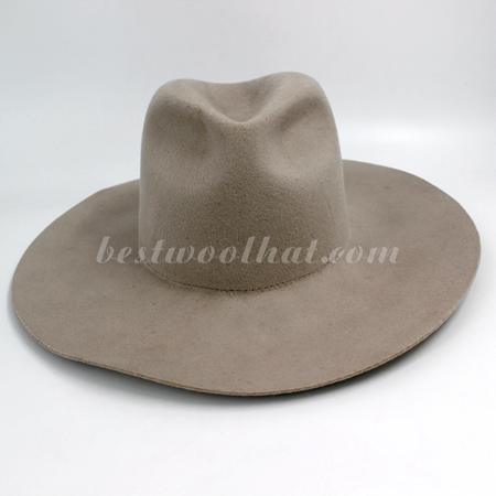 fedora hat