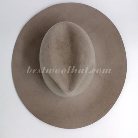 fedora hat
