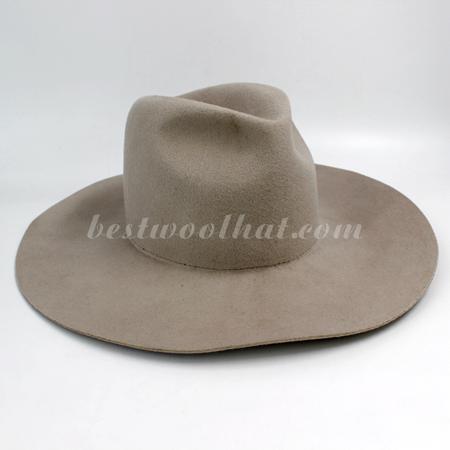 fedora hat